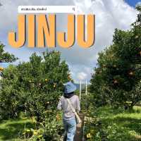 JINJU สวนส้มสุดน่ารัก