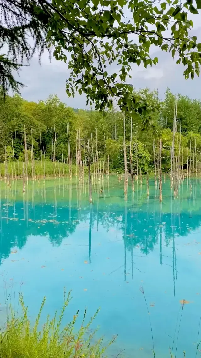 Picturesque pond in Hokkaido