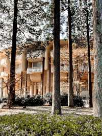 入住日本山景湖景集於一身的箱根蘆之湖皇家王子大飯店 the prince hakone lake ashinoko🏨 