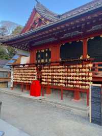 鎌倉といえば鶴岡八幡宮（つるがおかはちまんぐう）は外せない