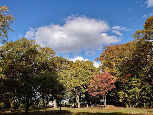 Torinuma Park 