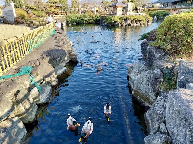 Jonofuchi Park