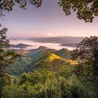 ยอดดอยม่อนเงาะ เชียงใหม่