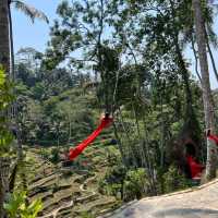 Escape the mundane with BALI SWINGGG