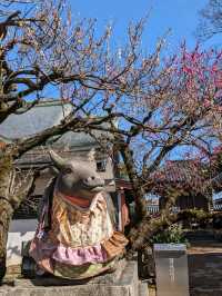 北野天満宮【北野の花手水】撫で牛の両脇の生花が華やかで綺麗