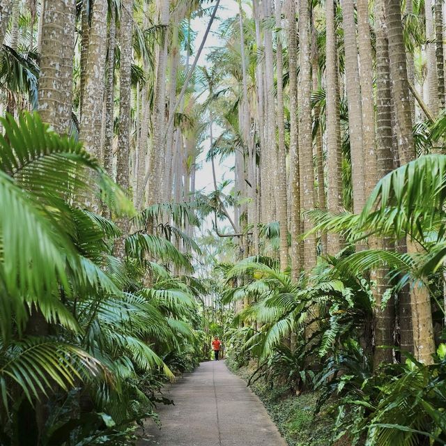 Botanical Gardens in Okinawa 