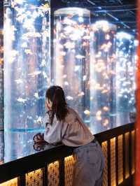 【東京】3月に行くべきおすすめスポット5選