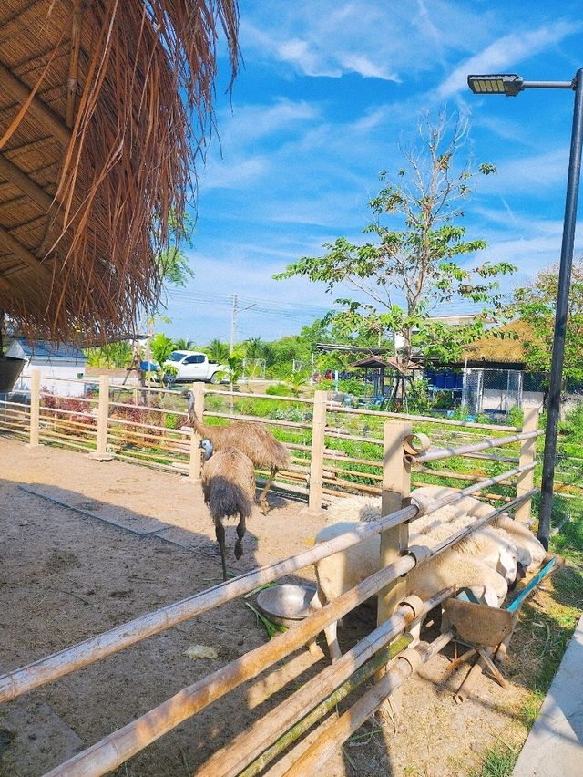 หล่อเลี้ยงฟาร์ม ความสุขของทั้งครอบครัว 🏡❤️