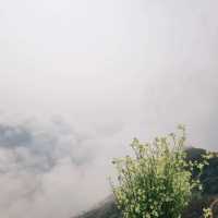 The most beautiful cloud hunting paradise