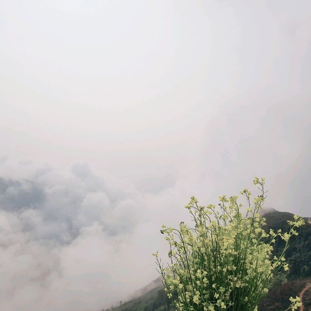 The most beautiful cloud hunting paradise