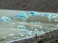 Laguna Torre...빙하를 만져볼 수 있는...