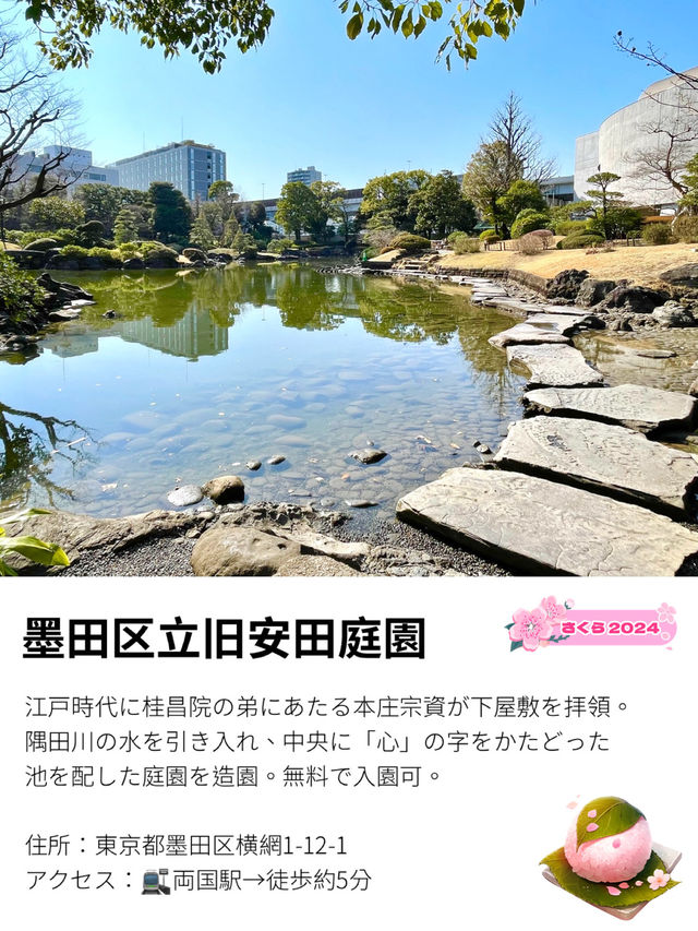 【墨田区立旧安田庭園】無料拝観できる素敵な和風庭園