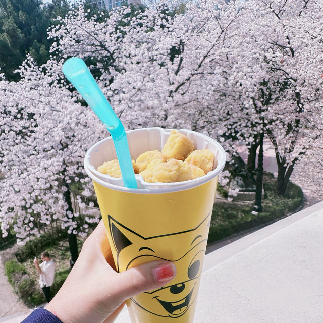 🌸Everland สวนสนุก🎡 ที่มีซากุระ🌸