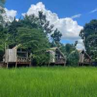 บ้านสวน อ.ศิลป์ชัยฟาร์มโฮสเตย์
