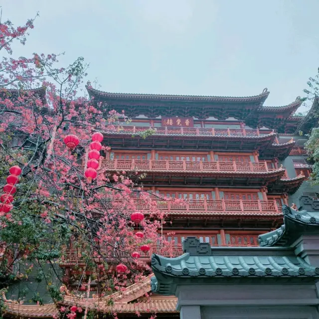 Visit Guangzhou Big Buddha Temple