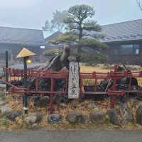 山梨の温泉スポット