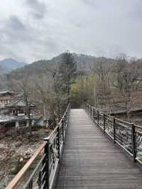 풍경이 멋진 사찰 대원사