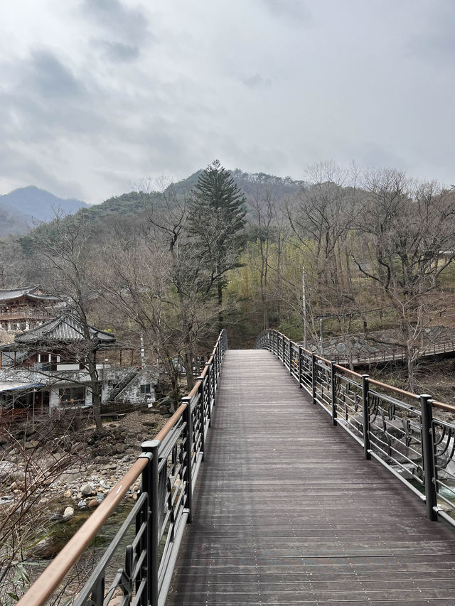 풍경이 멋진 사찰 대원사