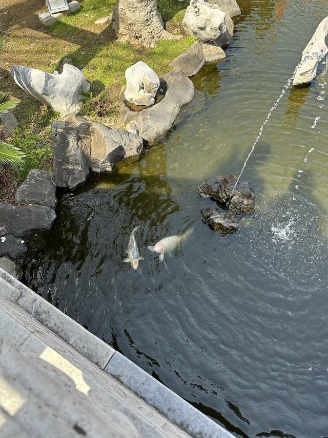 【📍長崎】中国歴代博物館と孔子廟