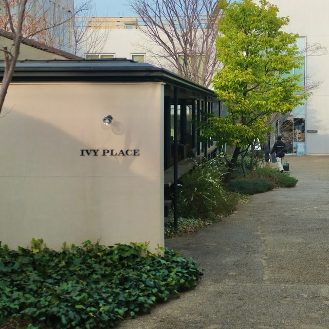 도쿄 다이칸야마의 이탈리안 레스토랑 - Ivy Place