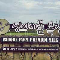 🌾 성이시돌목장, 제주 녹색의 풍경과 역사를 품은 곳