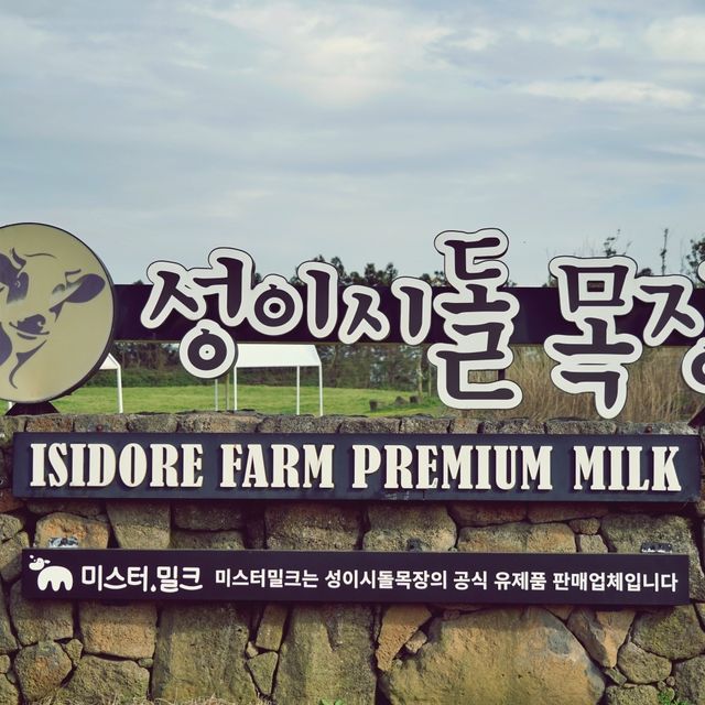 🌾 성이시돌목장, 제주 녹색의 풍경과 역사를 품은 곳