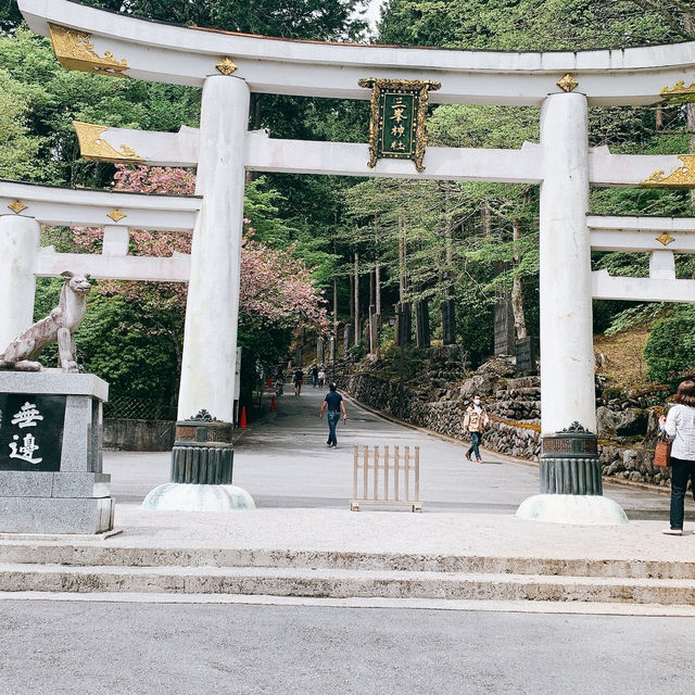 【埼玉】最強のパワースポット？三峰神社