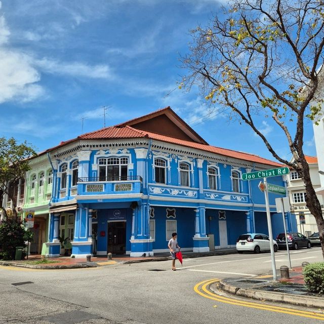 Joo Chiat Colourful Street Art & Shophouses 