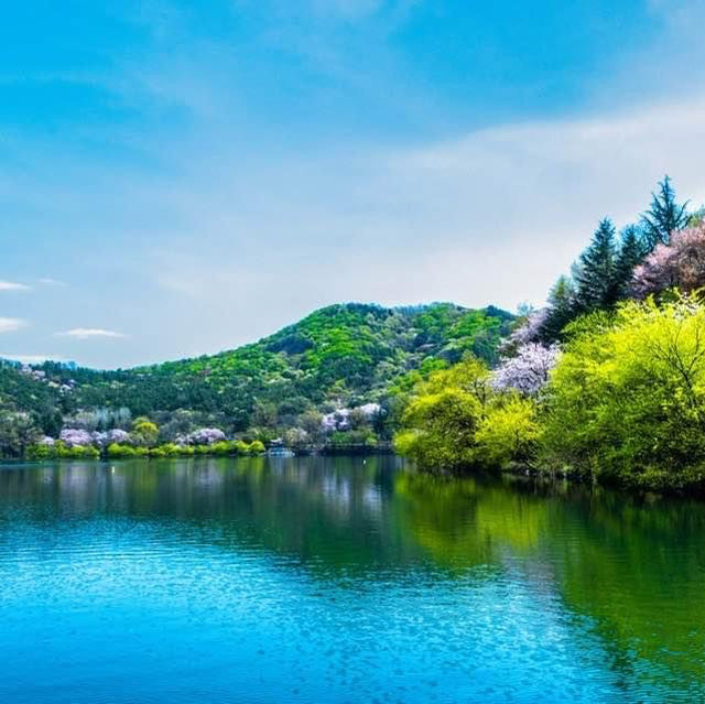 Beautiful Spring of Geomosan Provincial Park 