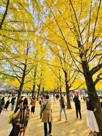 Nami Island