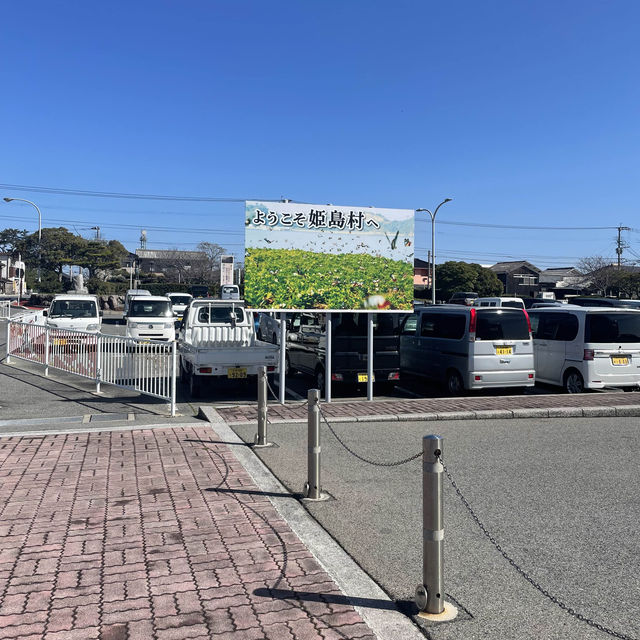 車えびを食べるなら大分県の姫島！