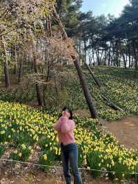 수선화를 볼 수 있는 유기방가옥 🌼