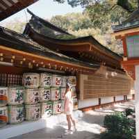 日本九州｜全世界最大的青銅臥佛🫶🏻