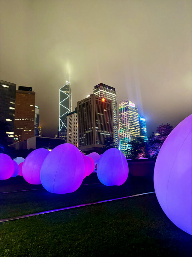 【金鐘】teamLab 光漣 I 戶外沉浸式藝術體驗