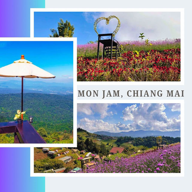 Mon Jam, Chiang Mai⛰️🌳