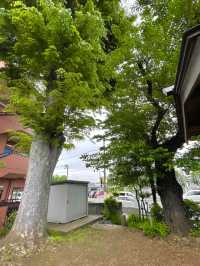 【共光稲荷神社/東京都】ちょっとレトロ⁉︎な手水舎あり