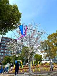 東京　東京観光　隅田公園の桜と東京スカイツリーのコラボは最高！