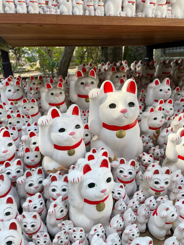 東京的秘密花園：豪德寺與千貓的祝福