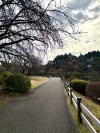 Shinjuku Gyoen National Garden