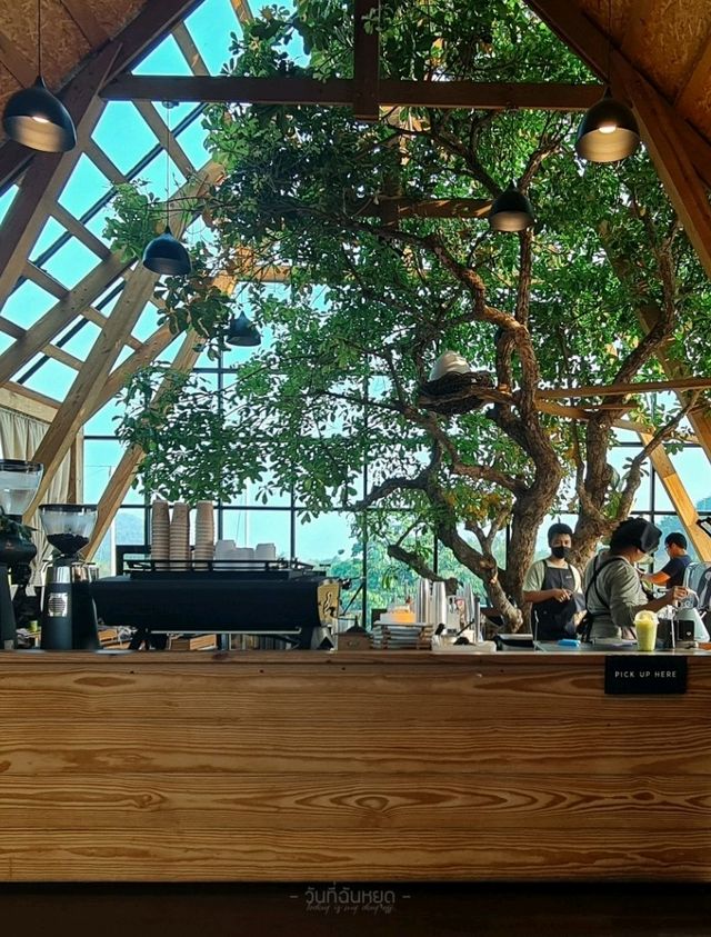 คาเฟ่กระท่อมบนเนินเขา | ราชบุรี