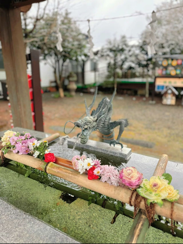【栃木】猫好きは絶対に行ってほしい🐈かわいい御朱印のある神社