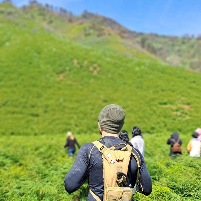 THE GREEN PARADISE OF BROMO