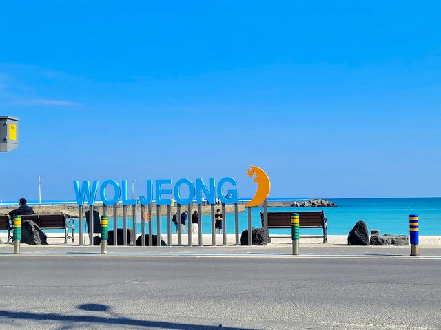 Woljeongri Rowa