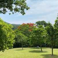 役政公園～綠洲中的湖光山色～寧靜放鬆