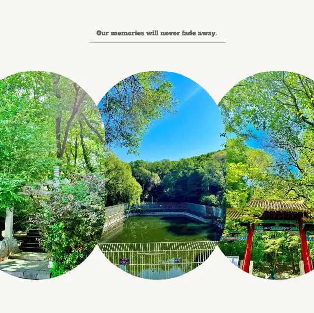 板樟山森林公園～田園氣息