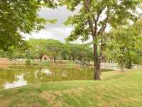 Tanawan Park สวนเดินเล่นชิล ๆ แห่งใหม่@เชียงใหม่