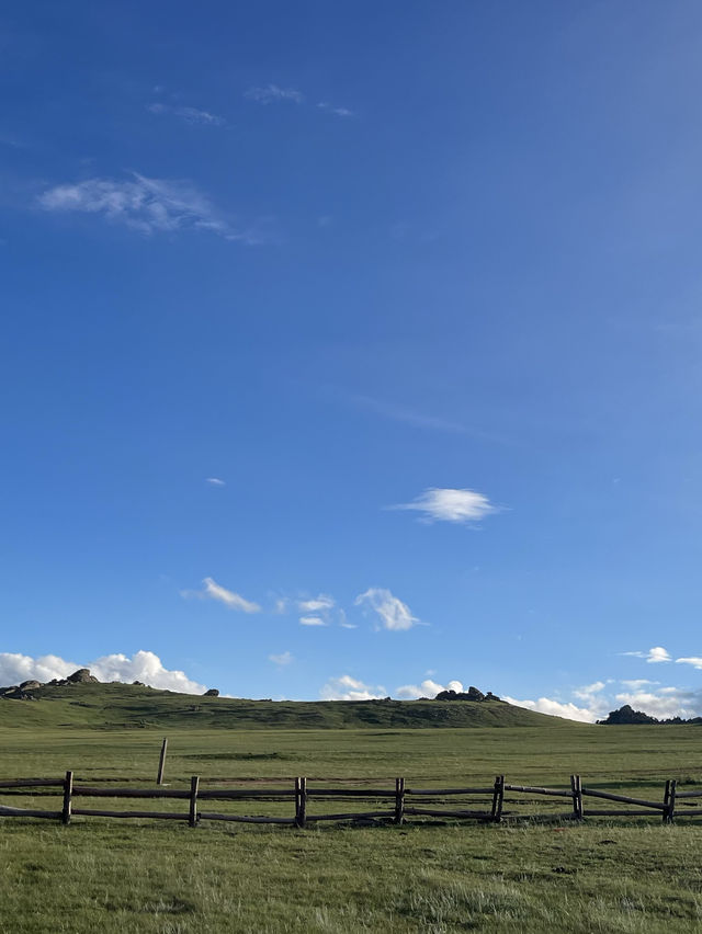 [몽골🇲🇳]스위스같은 초록초록의 나라:몽골 중앙주🍀