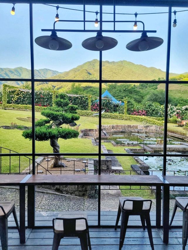 지리산과 장미 콜라보가 아름다운 하동카페🌹🌿