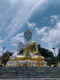 แวะมามู ณ เชียงใหม่2024