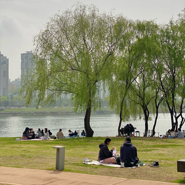 서울 피크닉명소 노들섬🏝️편의시설 잘되있는 복합문화공간 추천